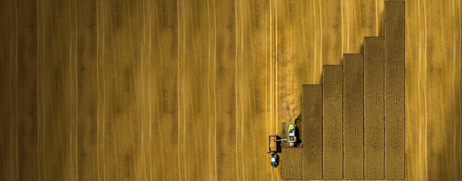 header-homepage-soilcares.jpg (3)